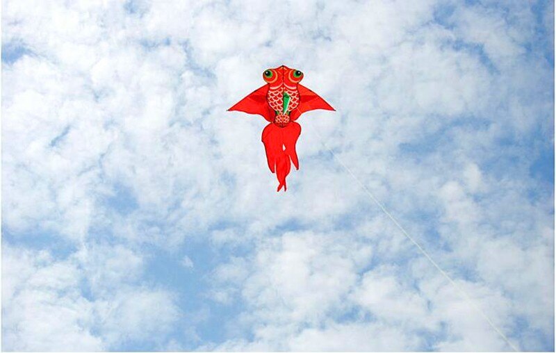 free shipping high quality 1.6m carp fish kite with handle line weifang kite flying dragon kite factory ripstop nylon fabric toy