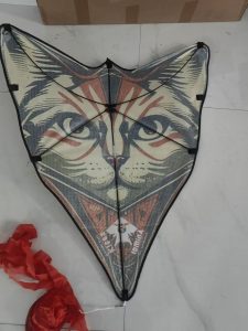 Klaus Felixdus Cat Kite Backside